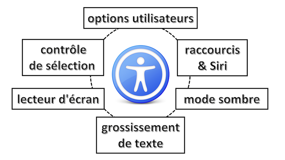 Principales options d'accessibilité sur <span lang='en'>iOS</span> : options utilisateurs, raccourcis & Siri, mode sombre, grossissement de texte, lecteur d'écran, contrôle de sélection